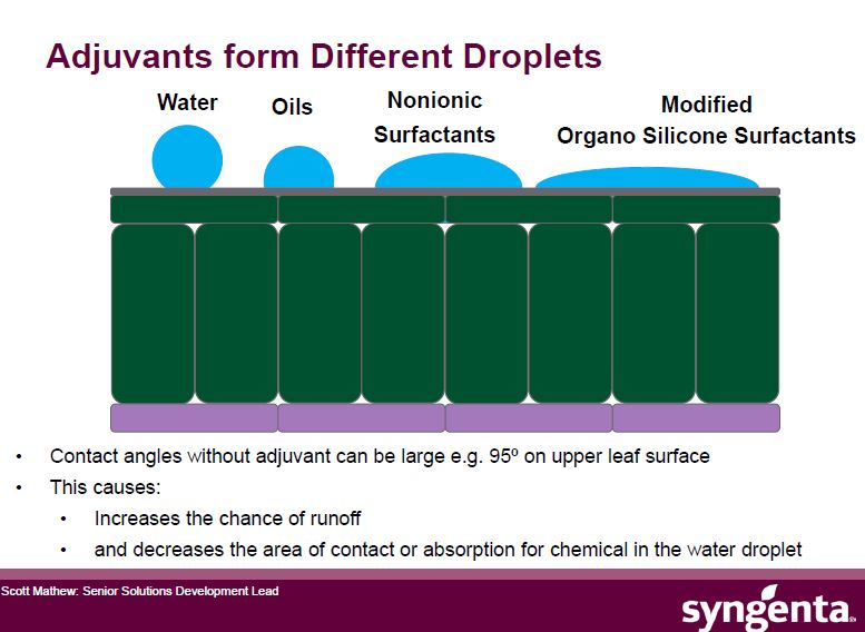 Adjuvants from different droplets