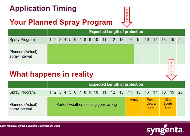 spray application timing